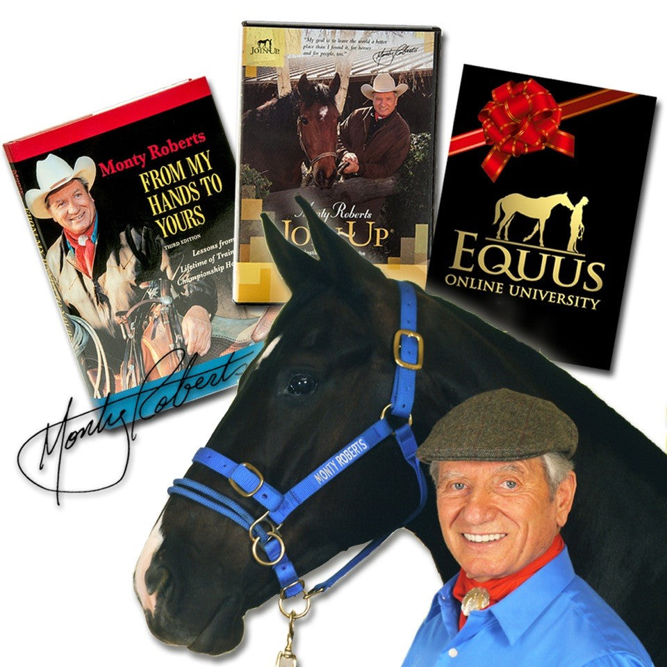 PACKAGE: LARGE DUALLY TRAINING HALTER JOIN-UP® KIT