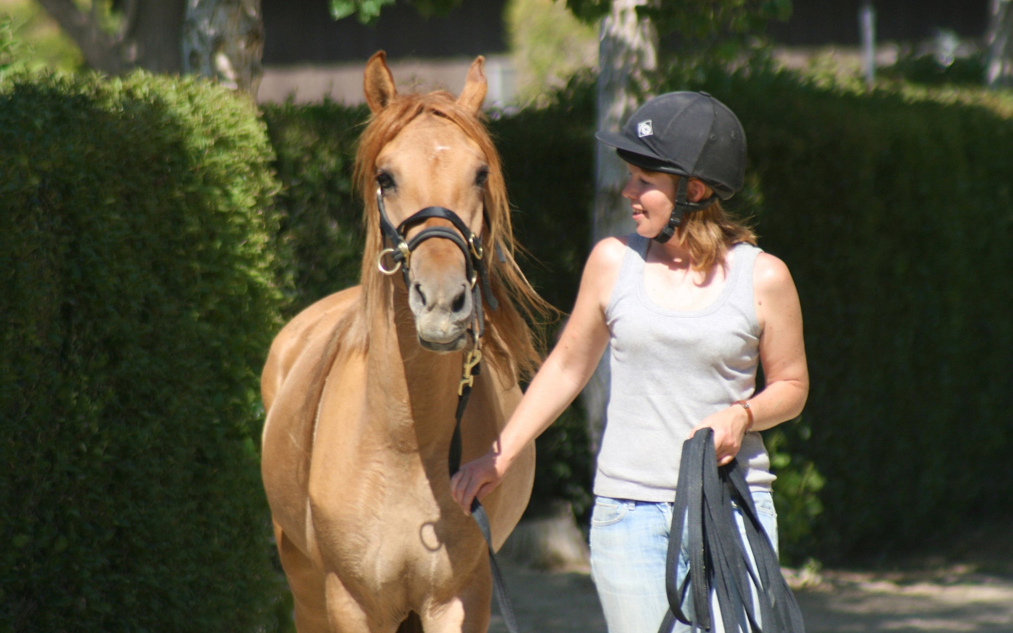 COURSES: HORSEMANSHIP 101: 1 DAY