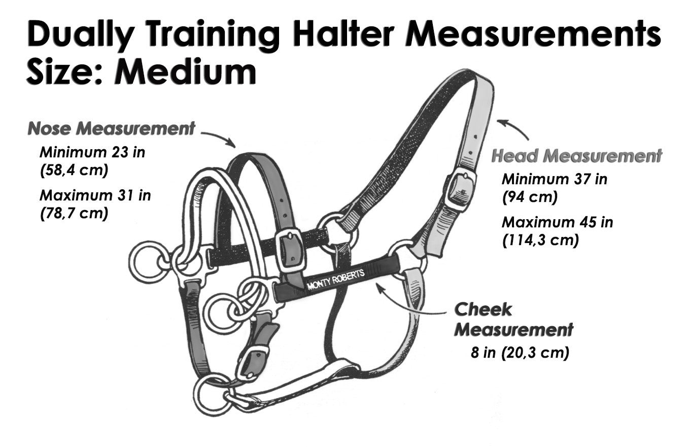 DUALLY TRAINING HALTER BLACK MEDIUM (WITH DVD)