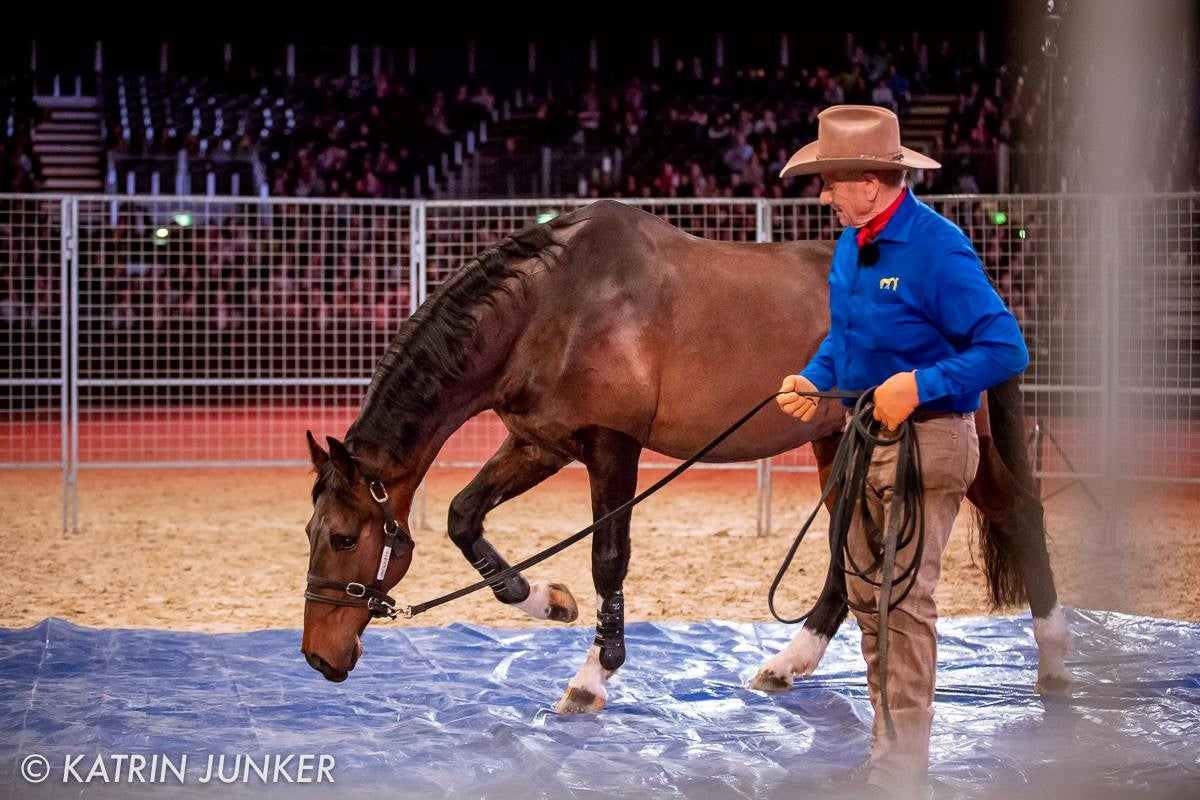 PERSONAL COACHING BY MONTY ROBERTS
