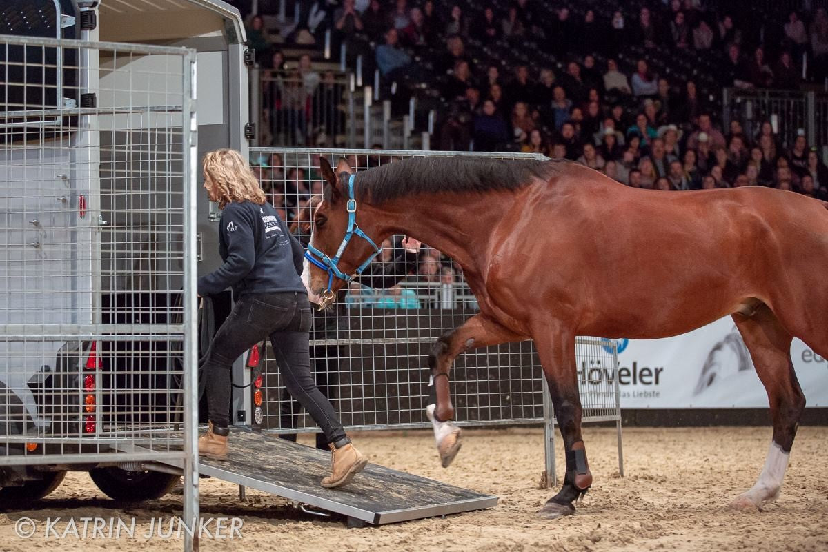 PERSONAL COACHING BY MONTY ROBERTS