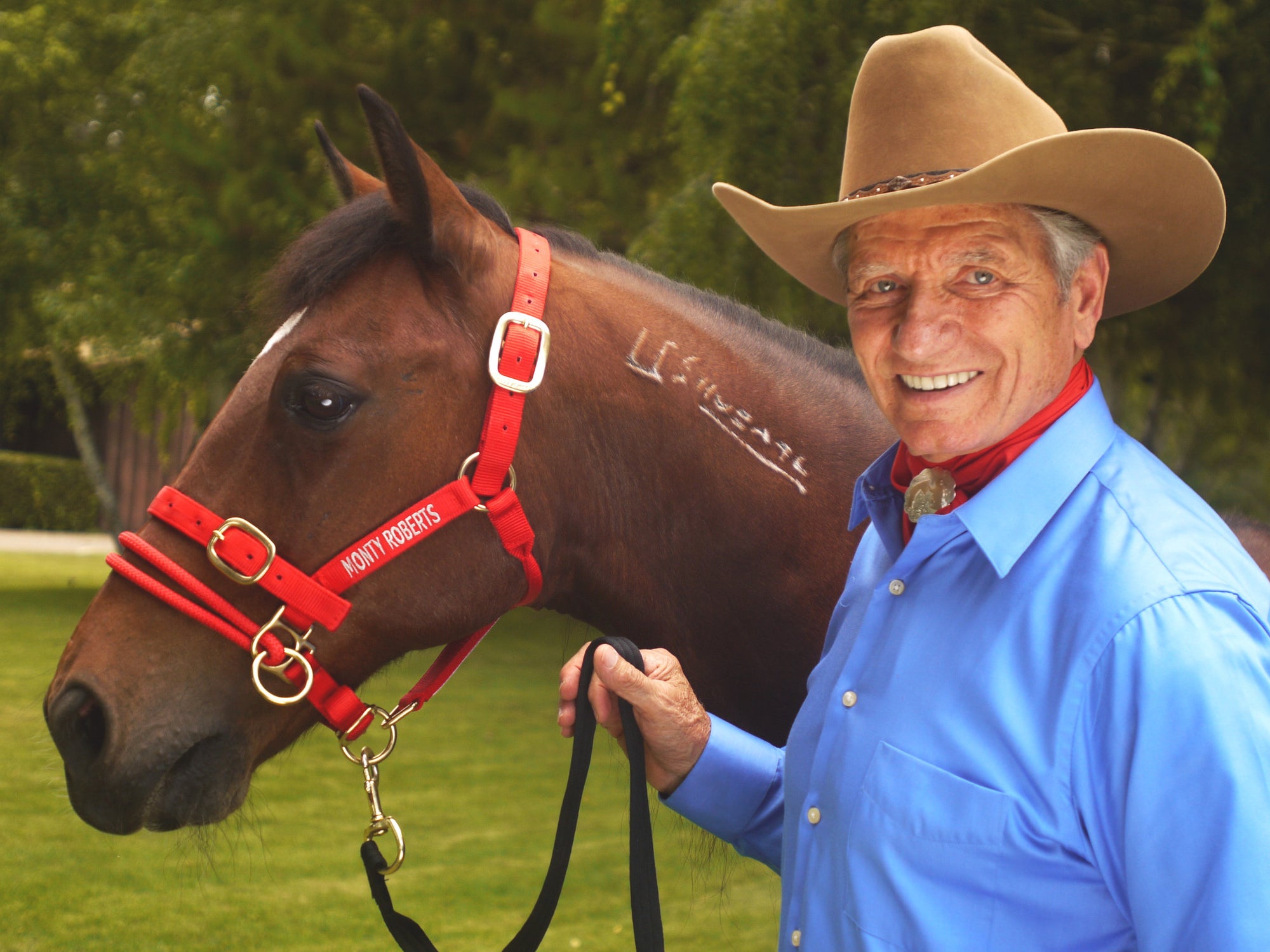 DUALLY TRAINING HALTER RED SMALL (WITH DVD)