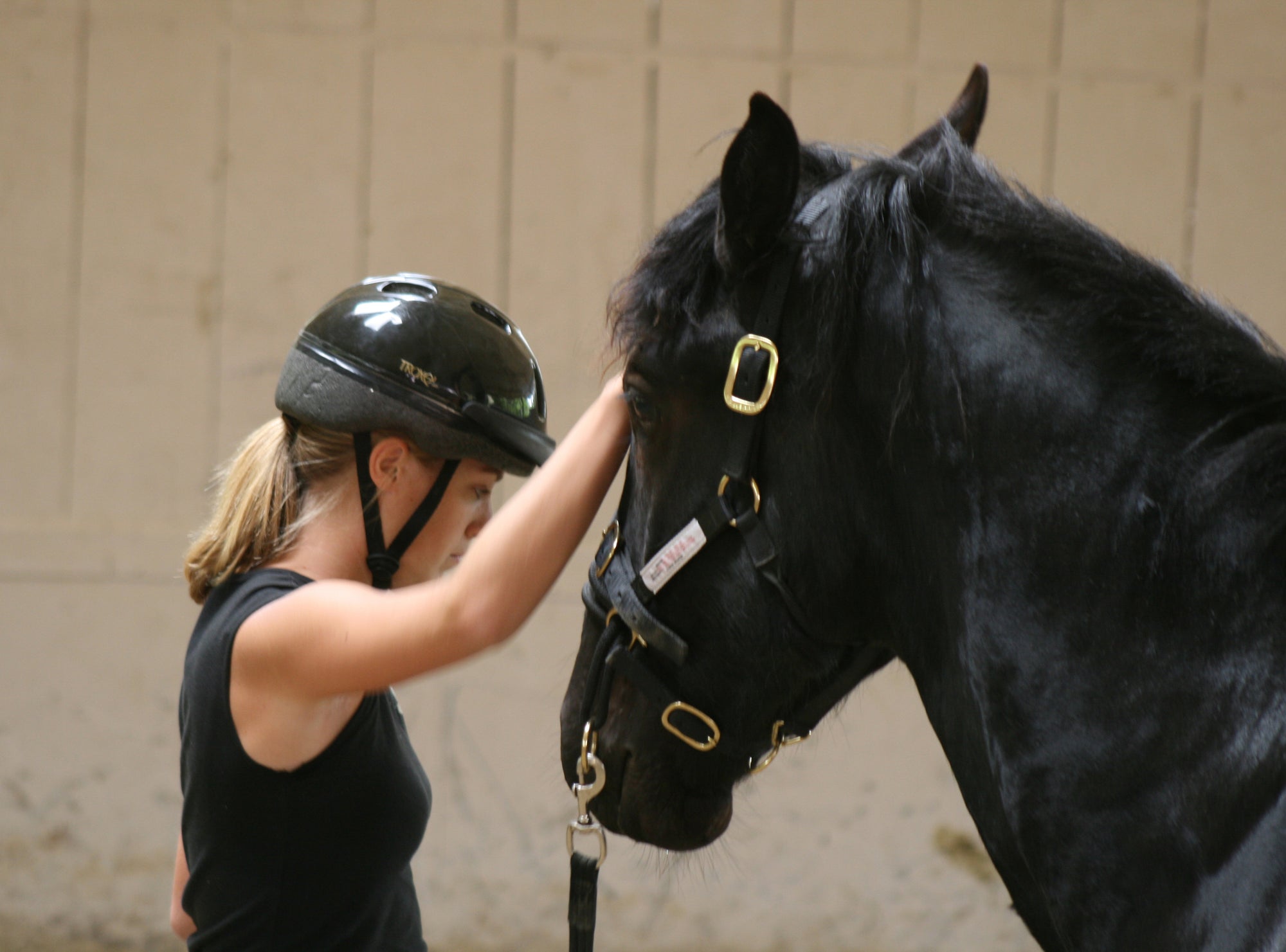 COURSES: NEW INTRODUCTORY COURSE JOIN-UP WITH HORSES: MODULE 2 (2 DAYS)