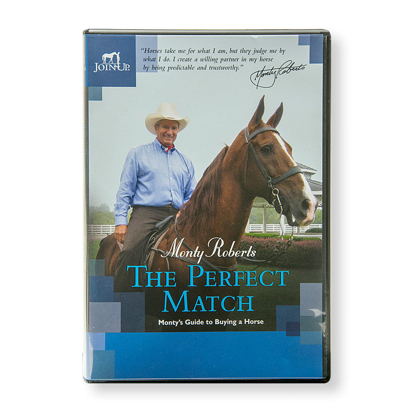 DVD: PERFECT MATCH