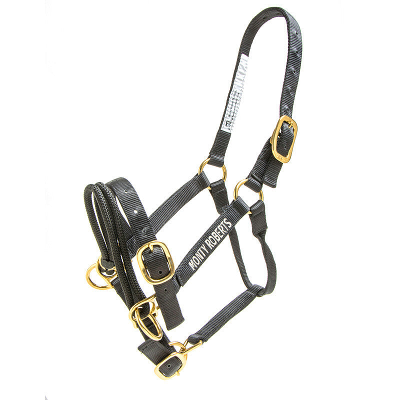 DUALLY TRAINING HALTER BLACK MEDIUM (WITH DVD)