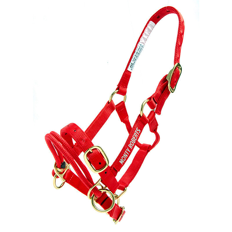 DUALLY TRAINING HALTER RED SMALL (WITH DVD)