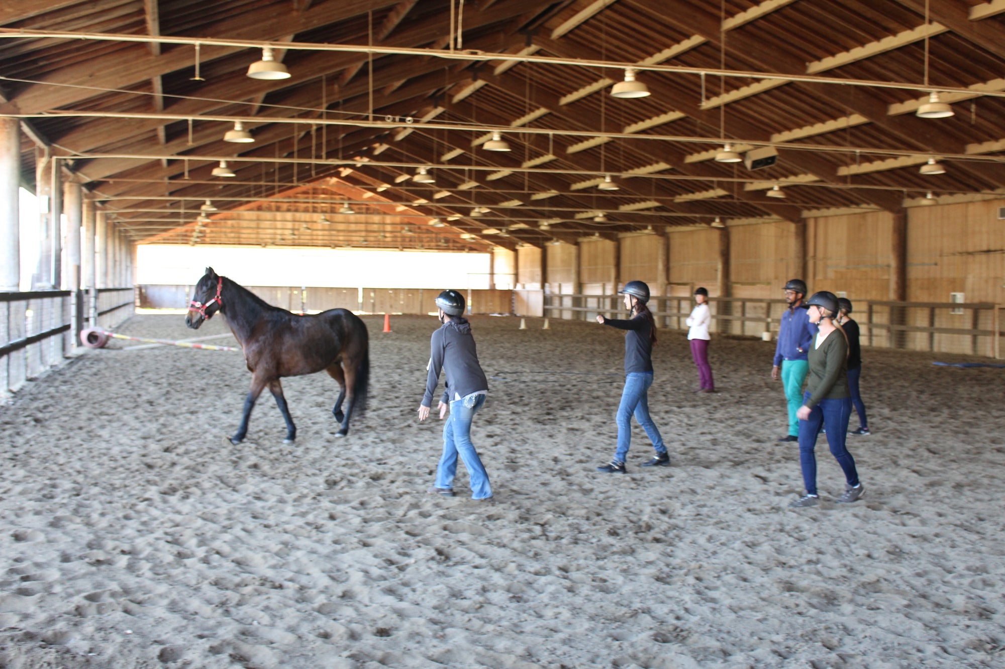 NEW Monty Roberts Intermediate Course of Horsemanship – Course A (11 Days)