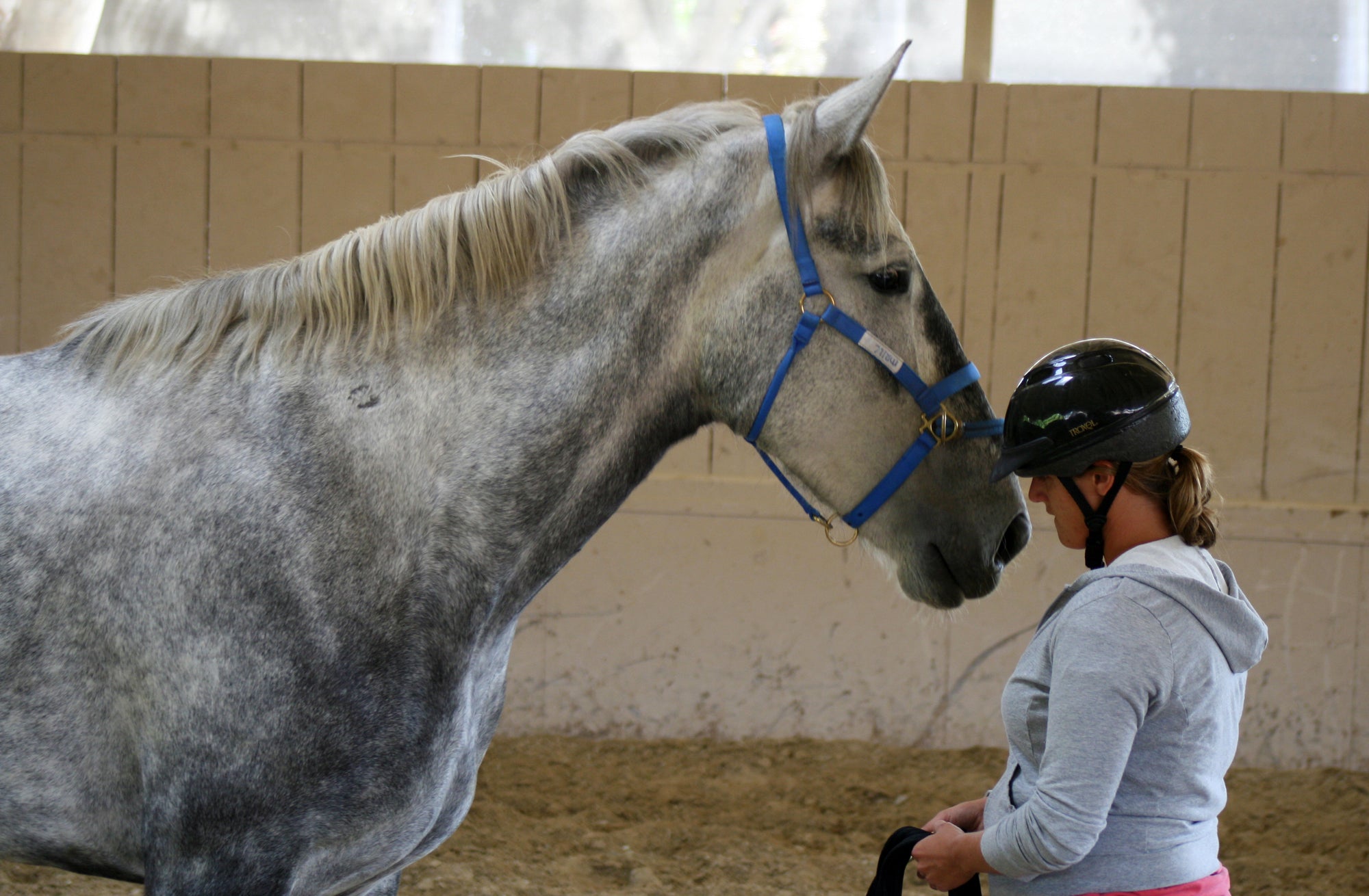 NEW Monty Roberts Introductory Course of Horsemanship – 12 Days