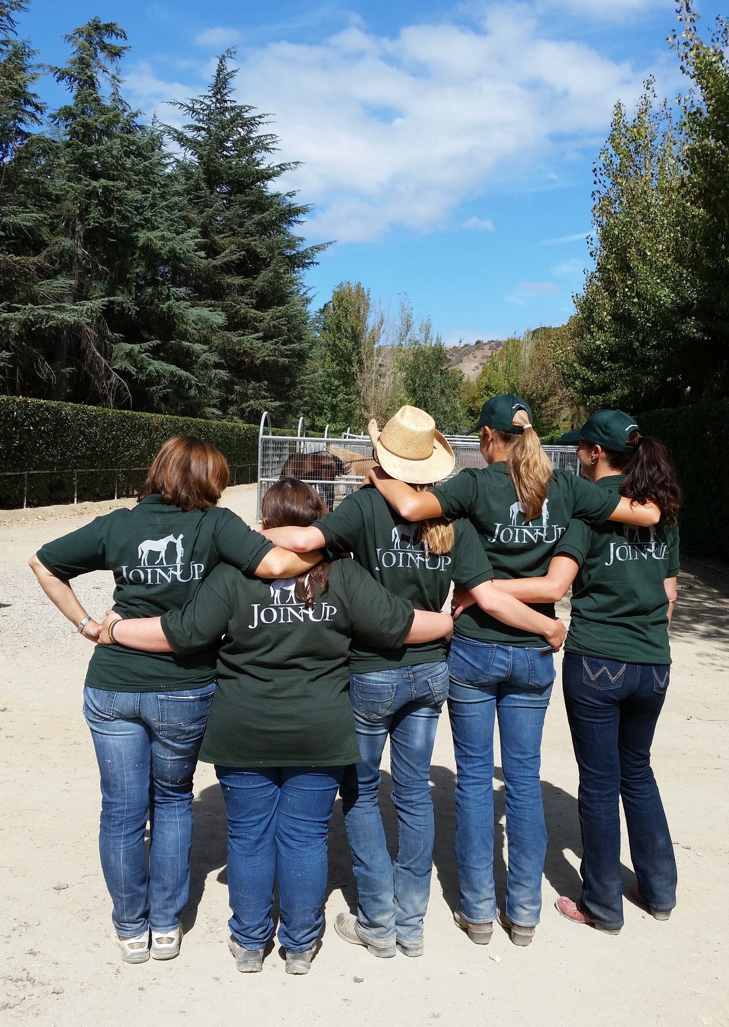 COURSES: INTRODUCTORY COURSE OF HORSEMANSHIP EXAMS: (5 DAYS)