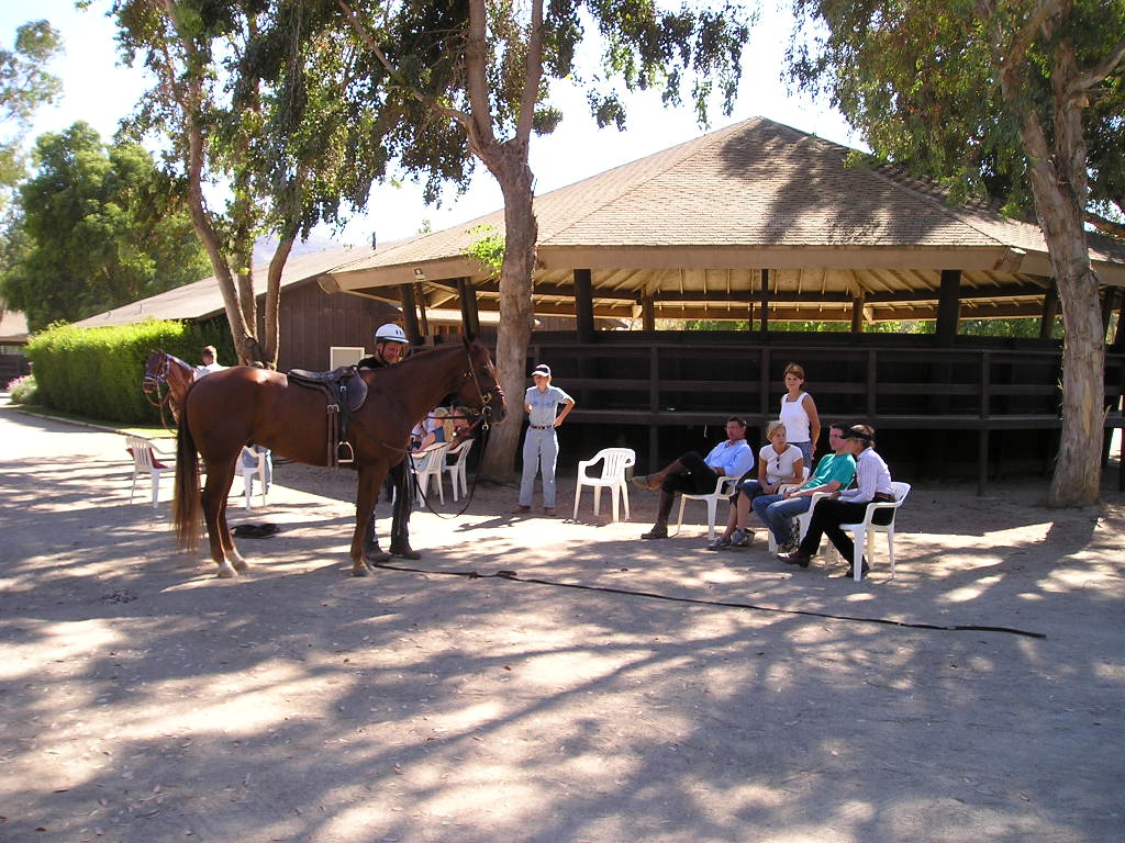 Monty Roberts Intermediate Course of Horsemanship – Course B students observing live horse training demonstration.