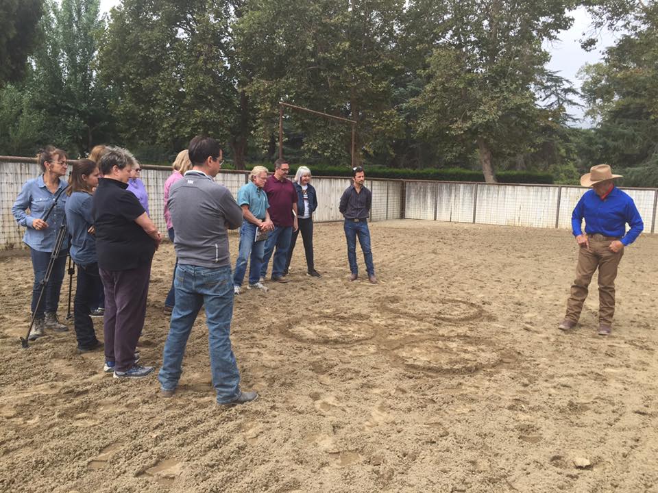 NEW Monty Roberts Introductory Course of Horsemanship (12 Days)