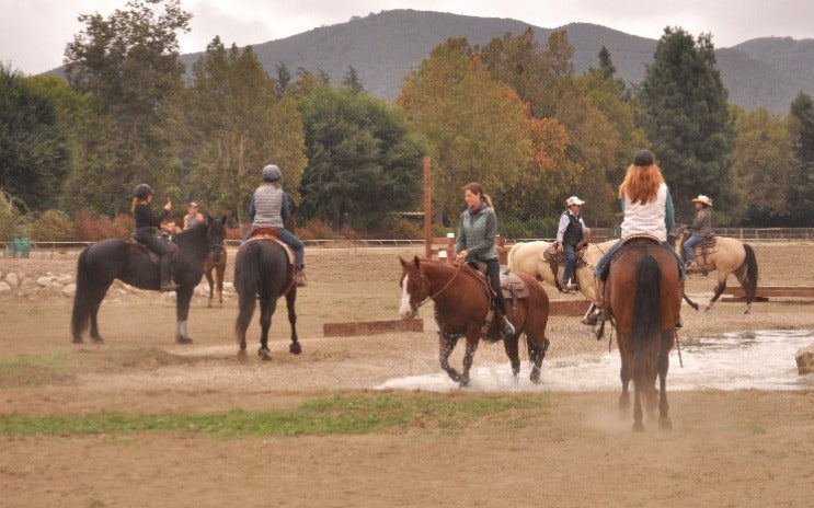 EVENTS: THE MOVEMENT 2026