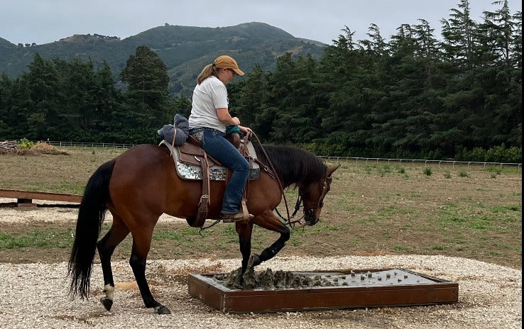 EVENTS: THE MOVEMENT 2026