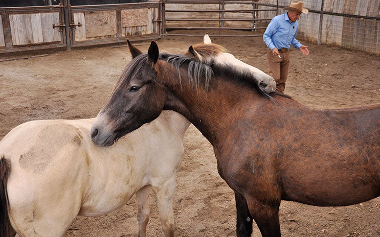 EVENTS: THE MOVEMENT 2026