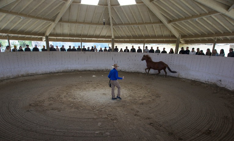 EVENTS: THE MOVEMENT 2026