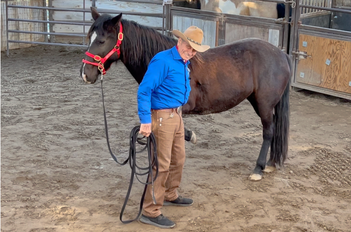 EVENTS: THE MOVEMENT 2026