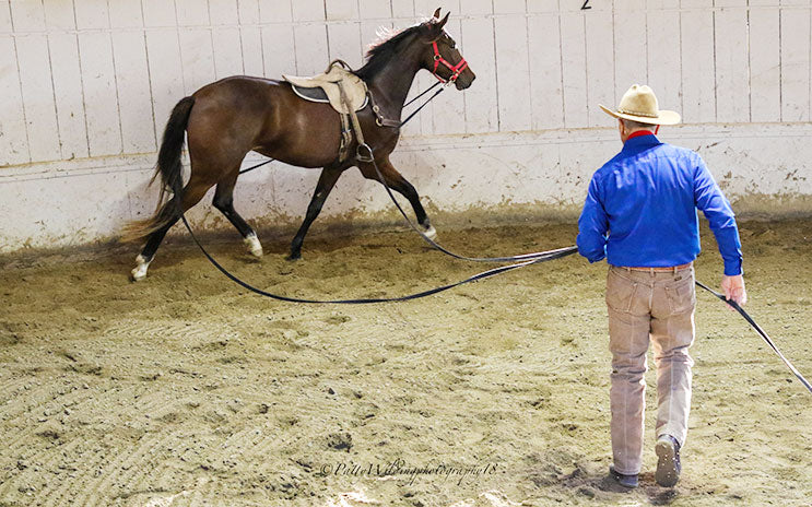 EVENTS: THE MOVEMENT 2026