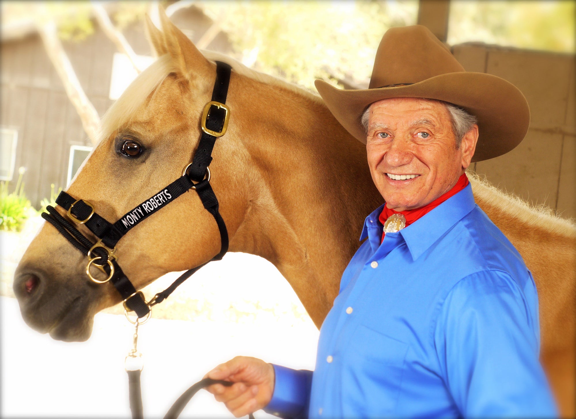 How to Show in Halter Classes - Horse Illustrated