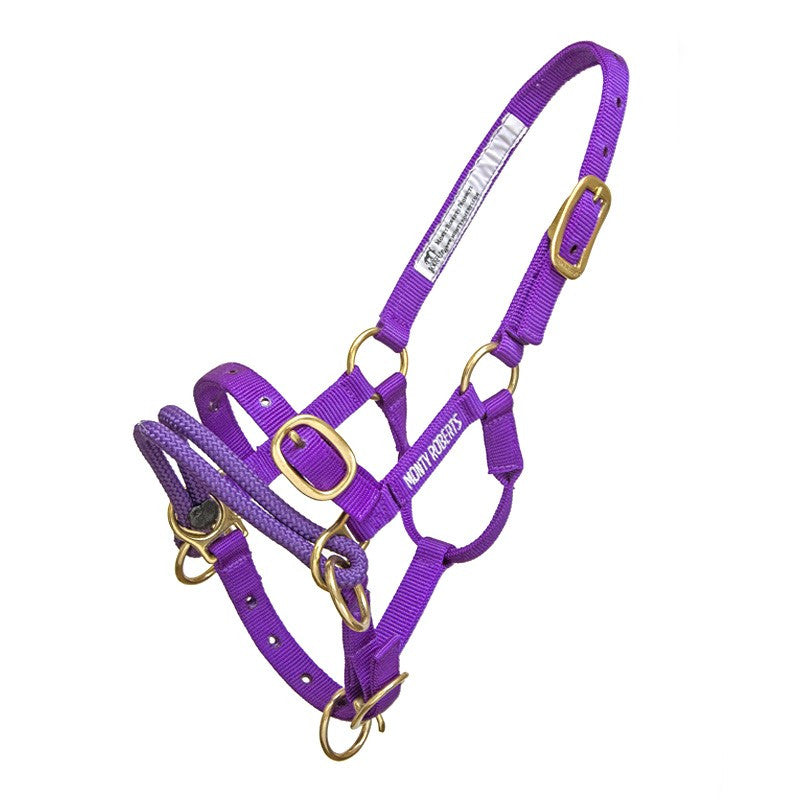 DUALLY TRAINING HALTER PURPLE MINIATURE (WITH DVD)