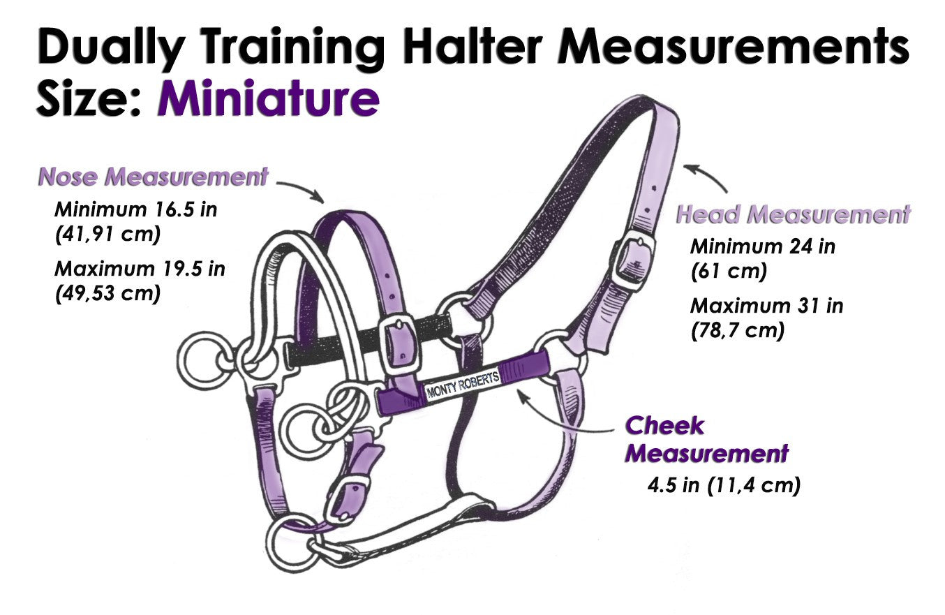 DUALLY TRAINING HALTER PURPLE MINIATURE (WITH DVD)