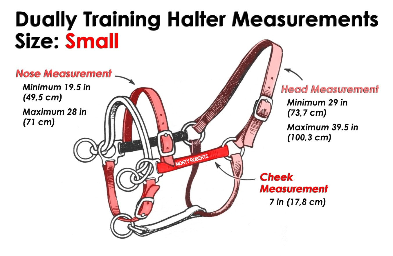 DUALLY TRAINING HALTER RED SMALL (WITH DVD)