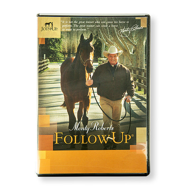 DVD: FOLLOW-UP