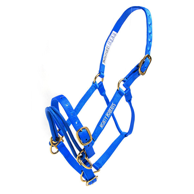 DUALLY TRAINING HALTER BLUE LARGE (WITH DVD)