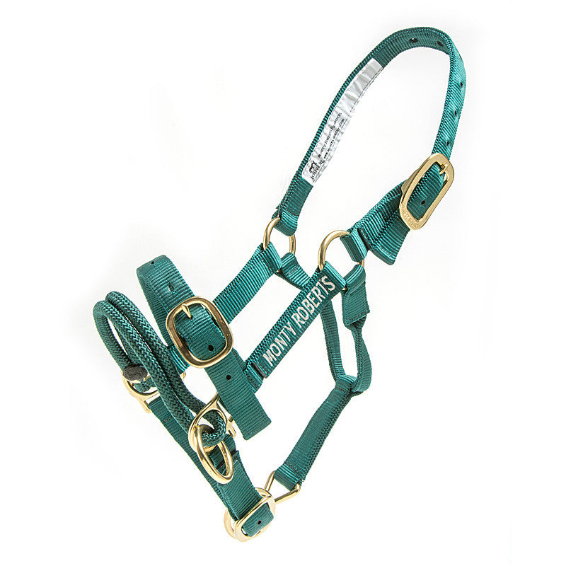 DUALLY TRAINING HALTER GREEN EXTRA SMALL (WITH DVD)