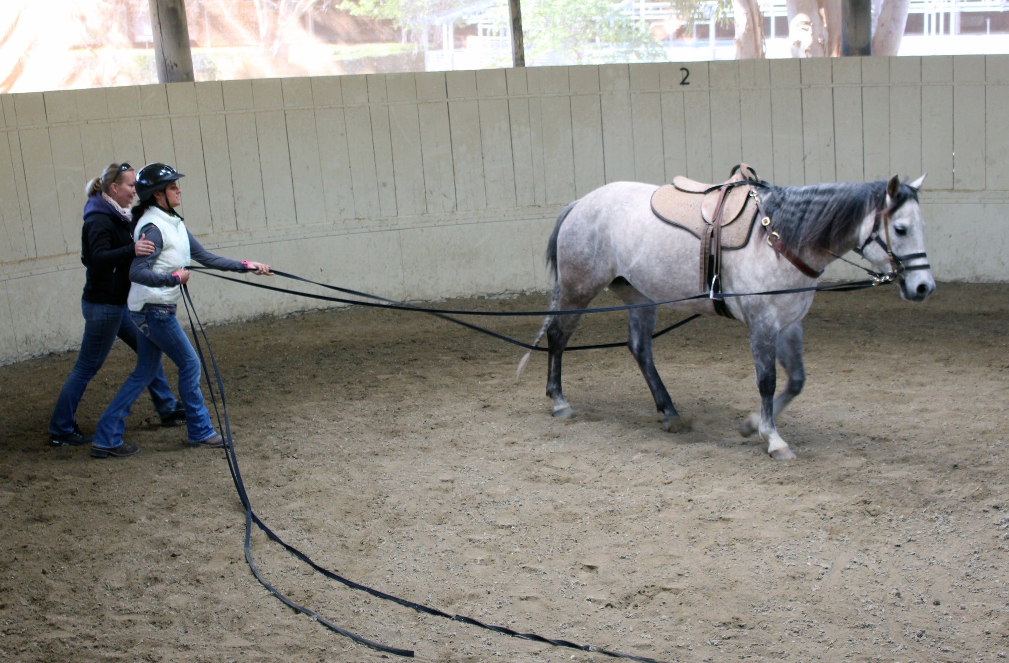 NEW Introductory Course Module 3: Safely Prepare Horses For Real-Life Situations (2 Days)