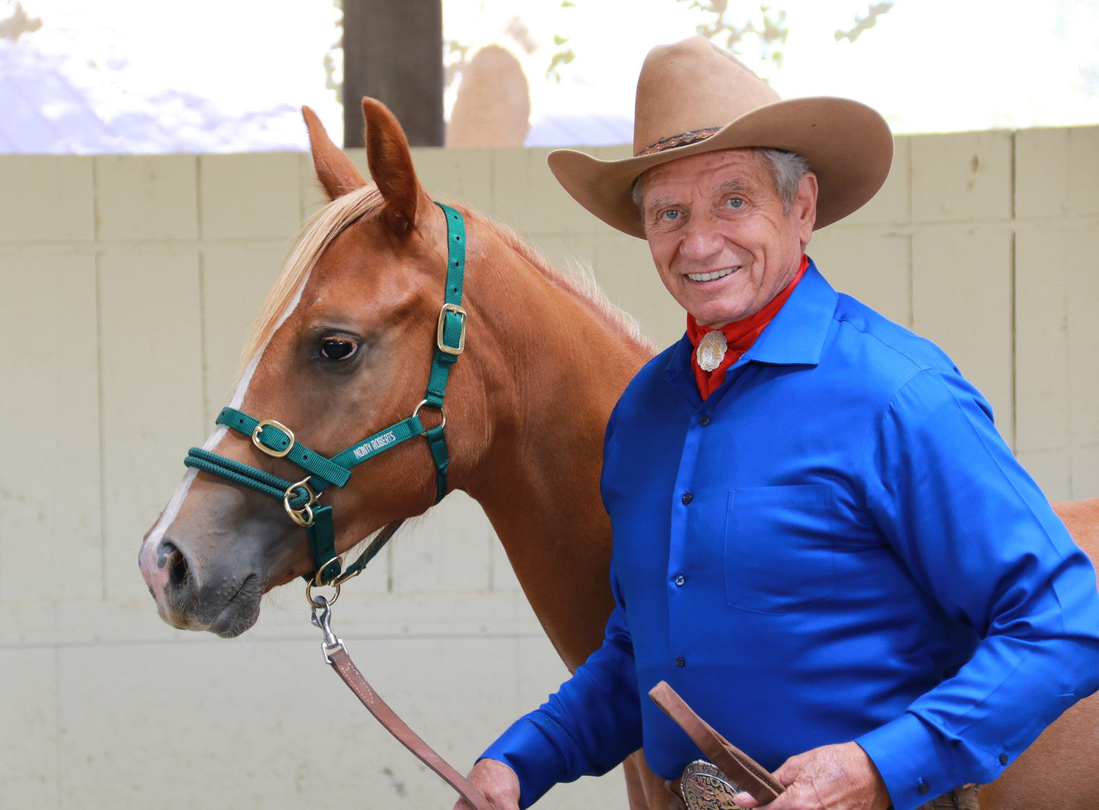 DUALLY TRAINING HALTER GREEN EXTRA SMALL (WITH DVD)