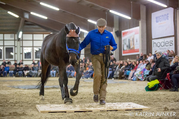 PERSONAL COACHING BY MONTY ROBERTS